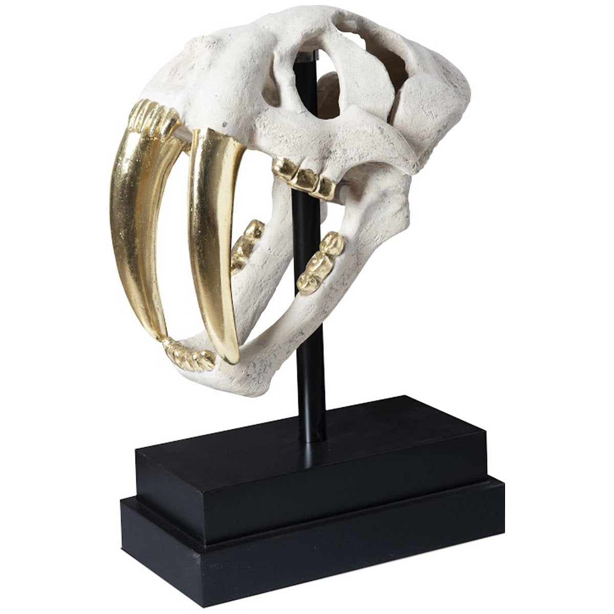 Phillips Collection Saber Tooth Tiger Skull Sculpture, Roman Stone