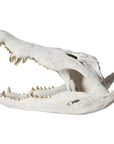 Phillips Collection Crocodile Skull Sculpture
