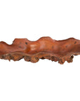 Phillips Collection Burled Rosewood Oblong Bowl