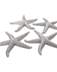 Phillips Collection Starfish Wall Decor, Set of 4