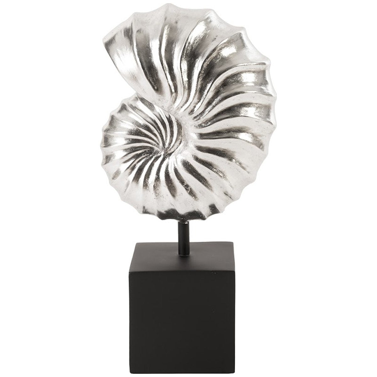 Phillips Collection Nautilus Shell Sculpture on Base