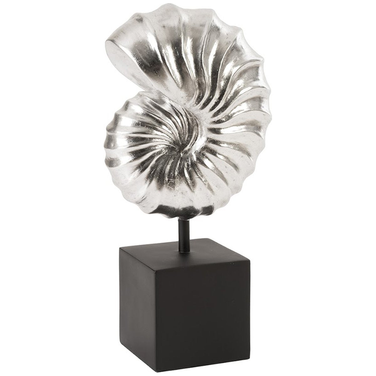 Phillips Collection Nautilus Shell Sculpture on Base