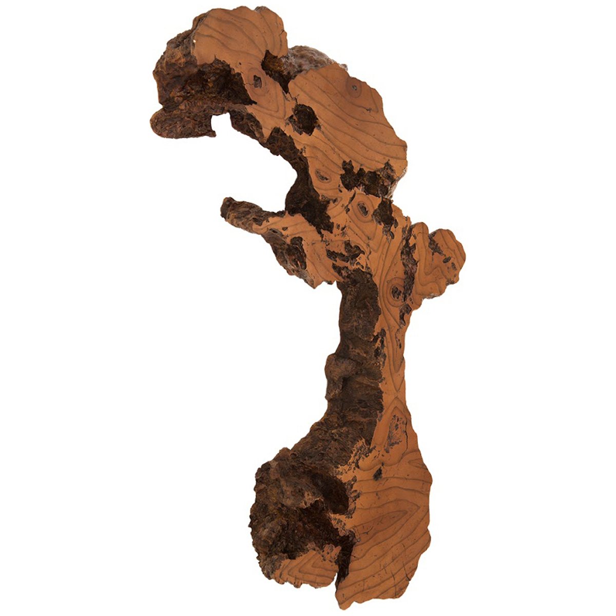 Phillips Collection Medium Burled Root Wall Art