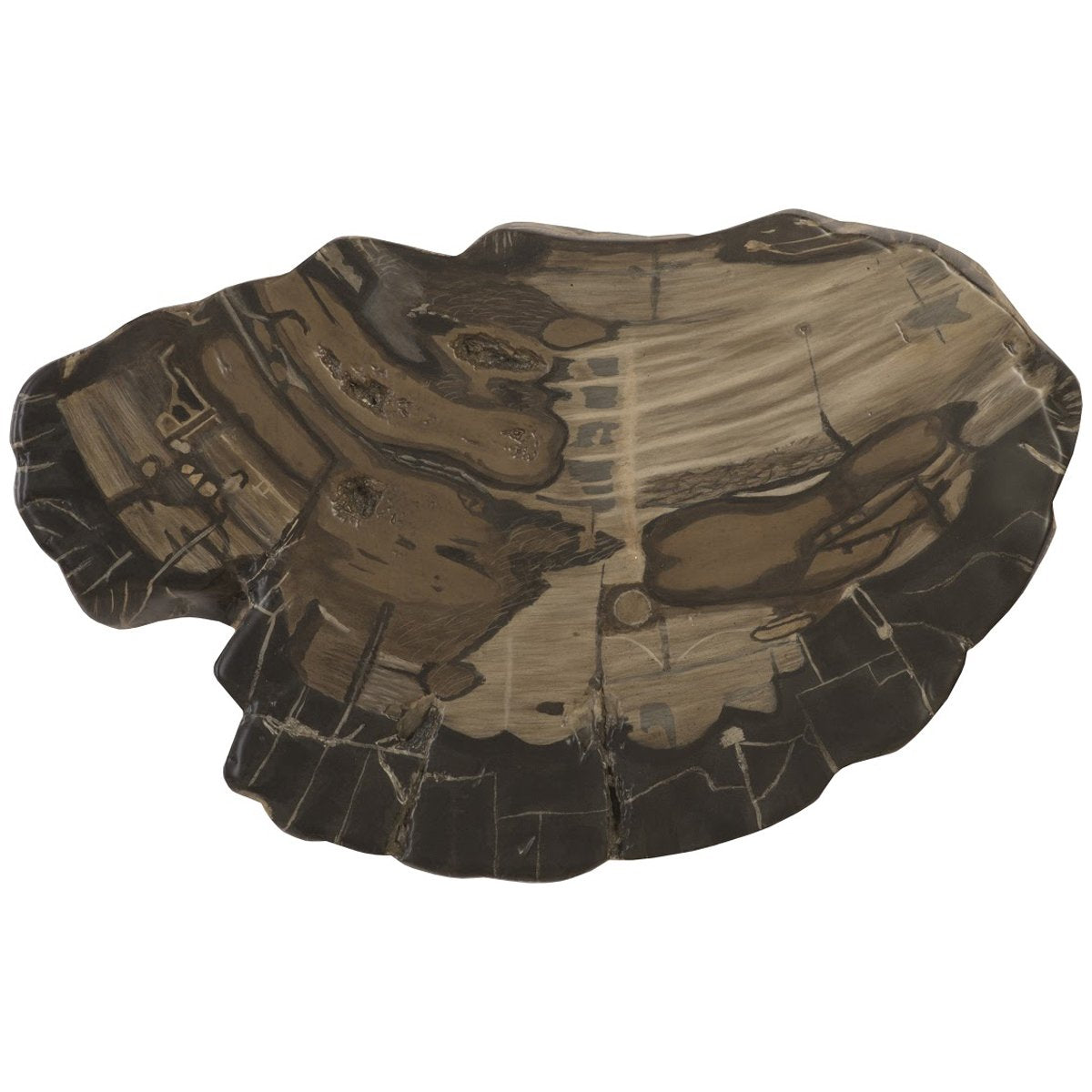 Phillips Collection Large Brown Cast Petrified Wood Wall Tile