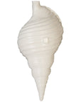 Phillips Collection Triton Shell Wall Art