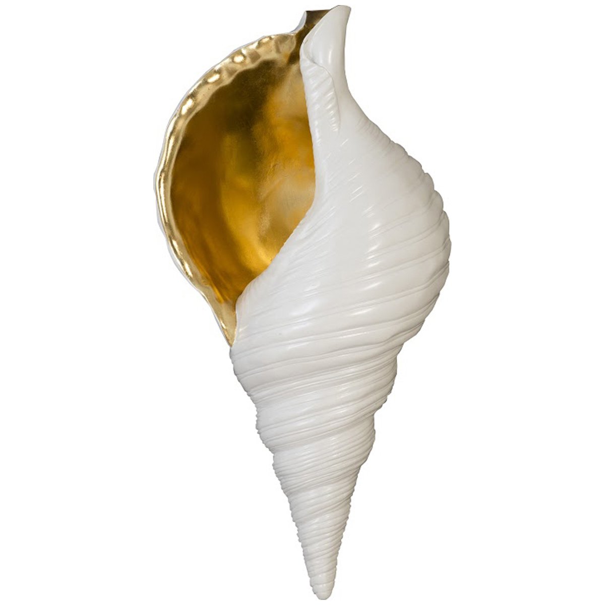 Phillips Collection Triton Shell Wall Art