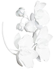 Phillips Collection Orchid Sprig Small Wall Art