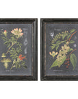 Uttermost Midnight Botanicals Wall Art, 2-Piece Set