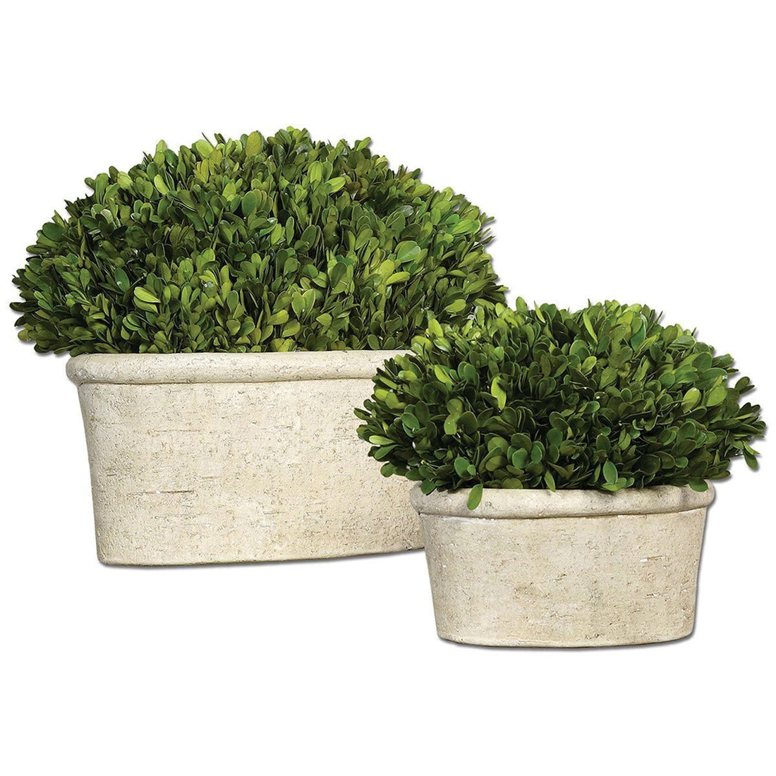 Uttermost Oval Domes Preserved Boxwood, 2-Piece Set