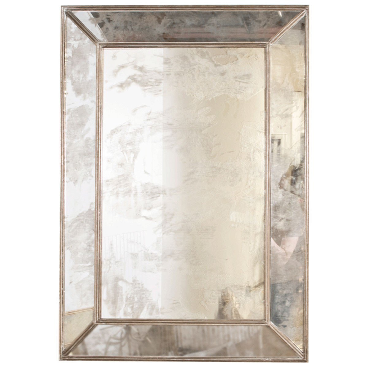 Worlds Away Rectangular Antique Mirror with Wood Edges DION G